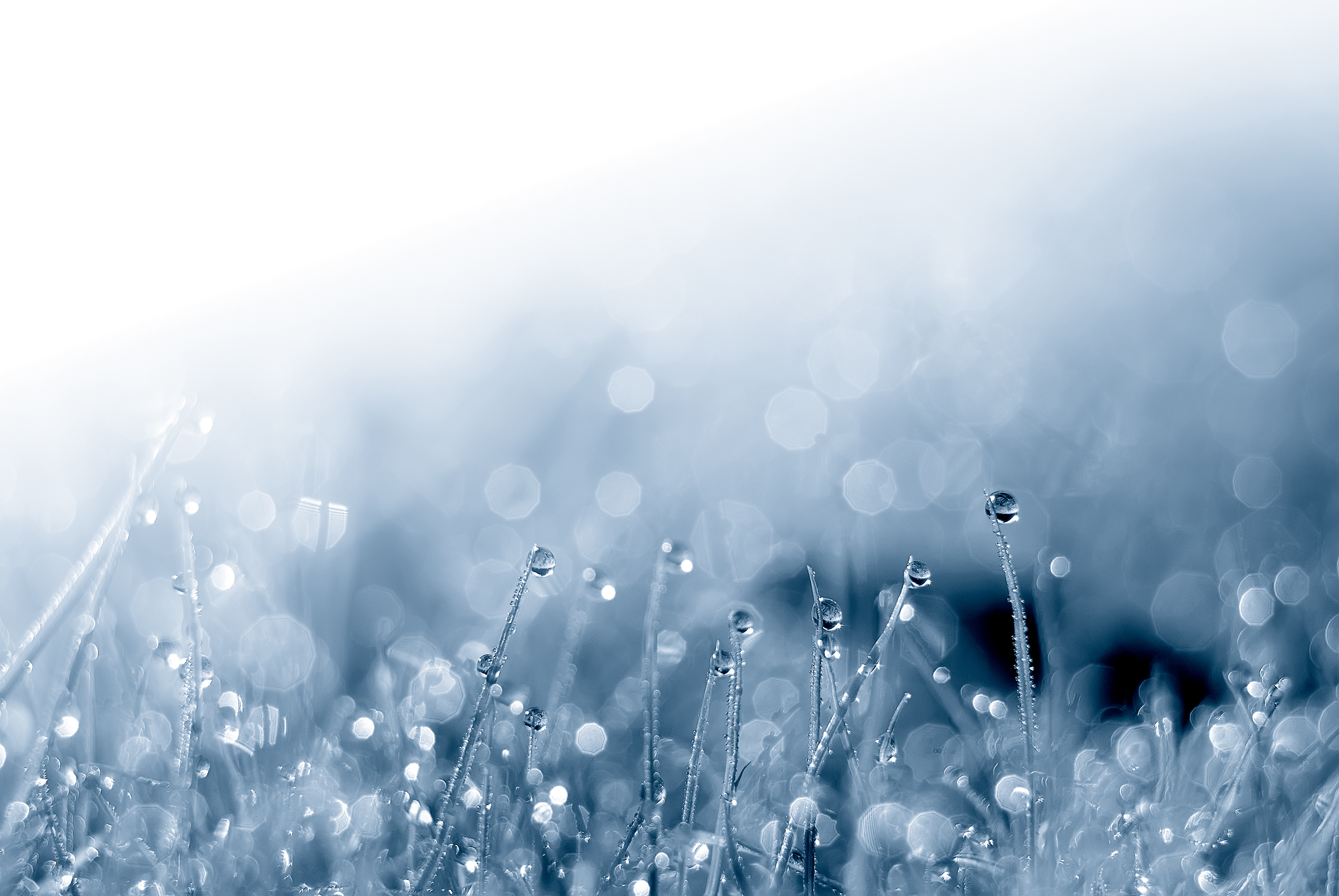 Montaigne Europe Opportunité 2