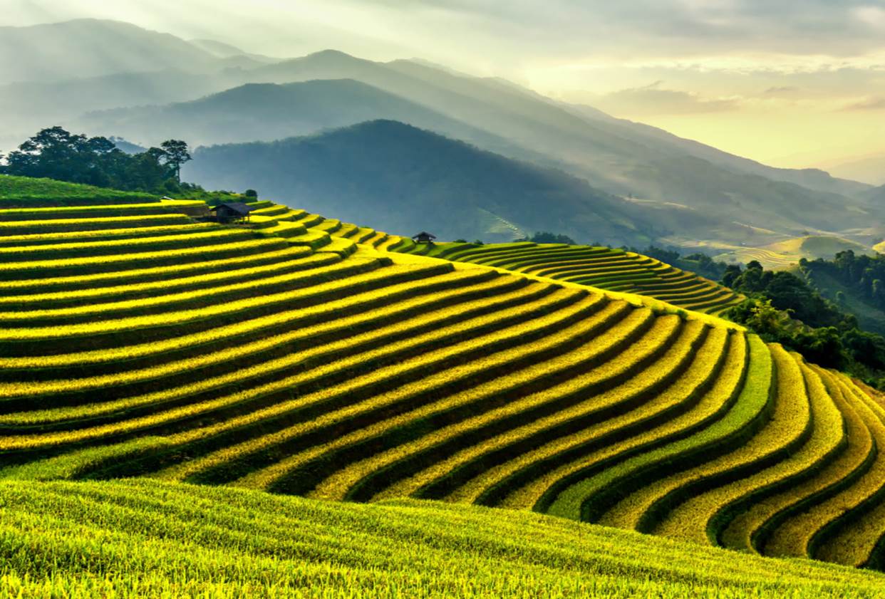 Athena Step Total 2017