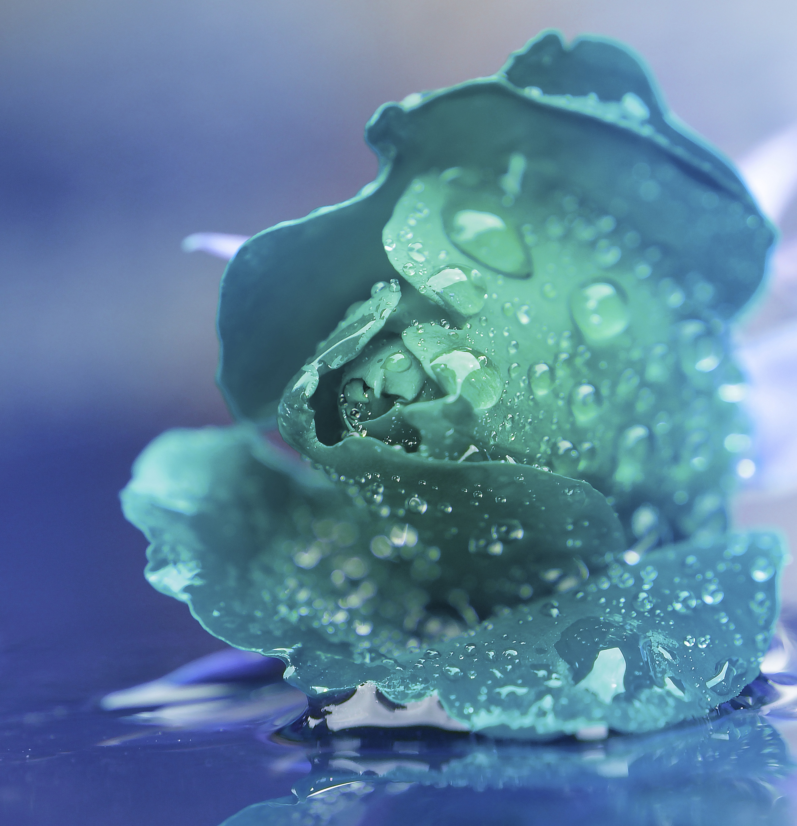 Euro STOXX Rendement 3