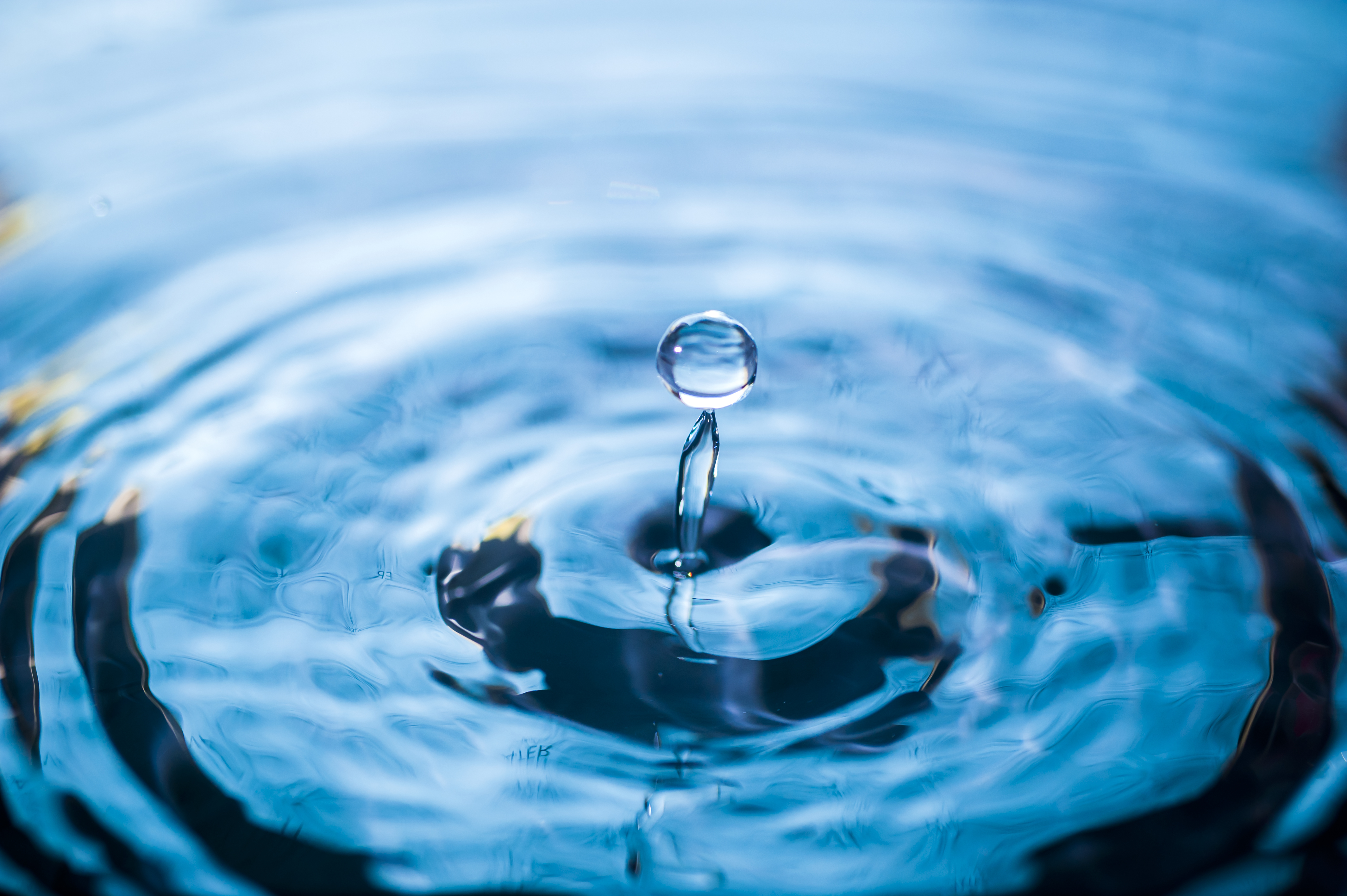 Athéna Action Sanofi Décembre 2018