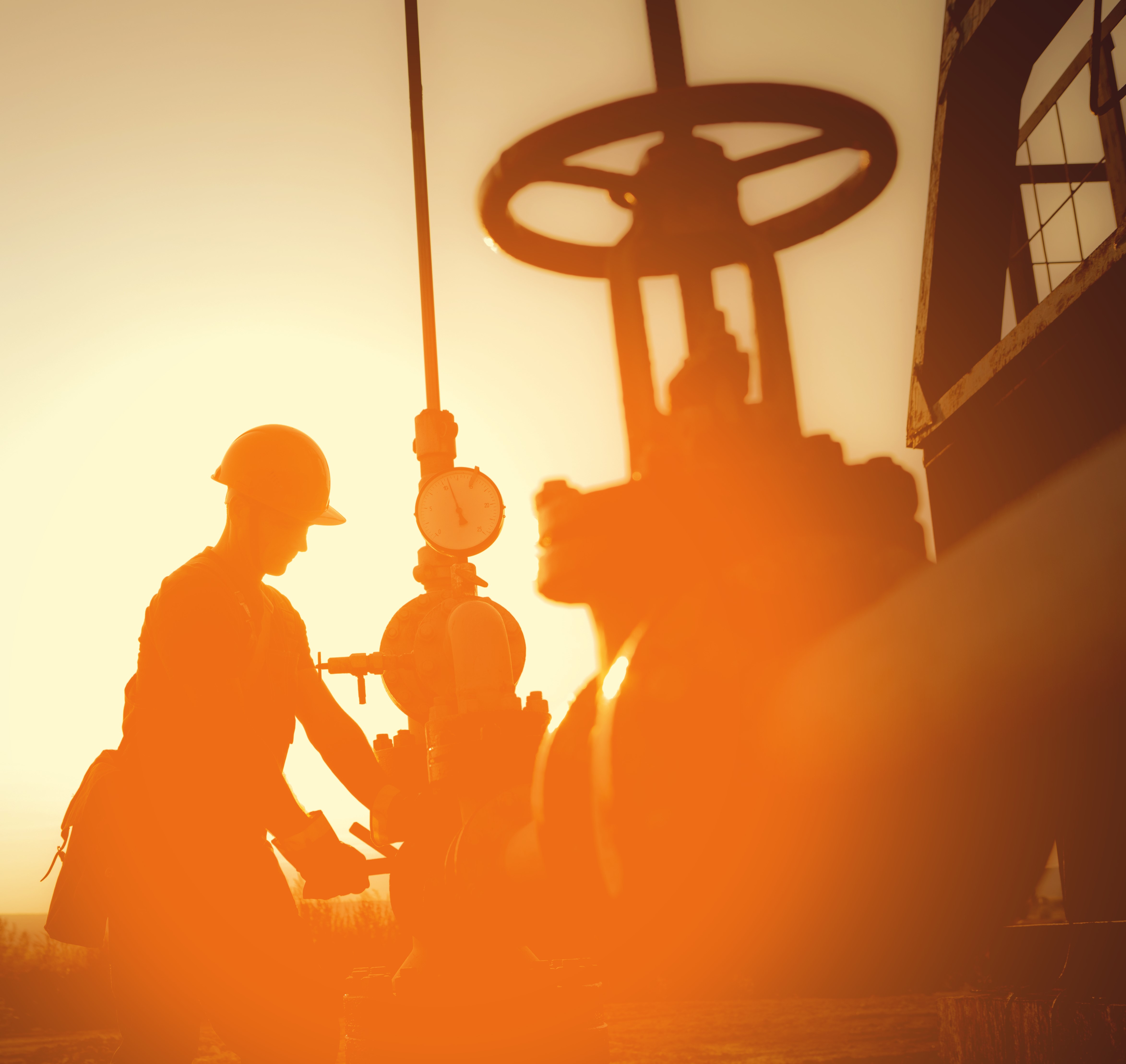 Rendement Action Total