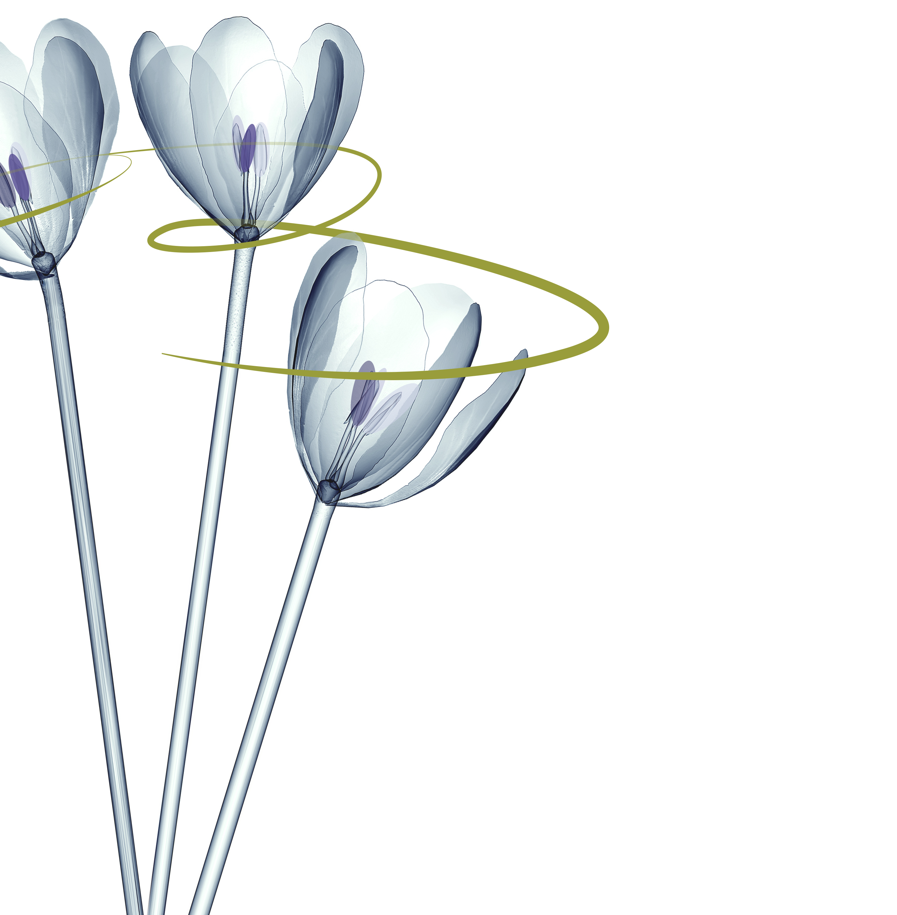 Agap’ Coupon Juin 2019