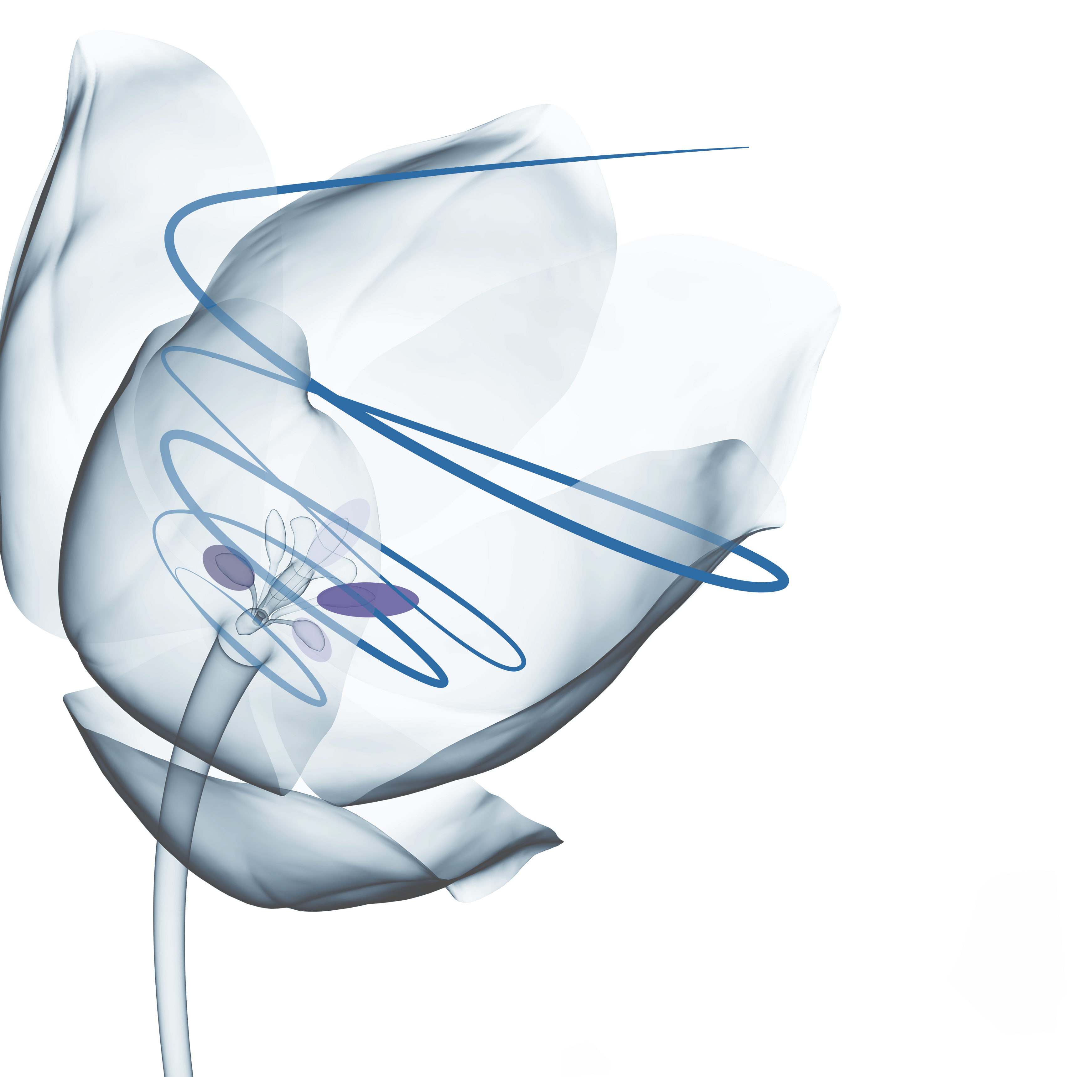 Agap’ Flash Septembre 2019