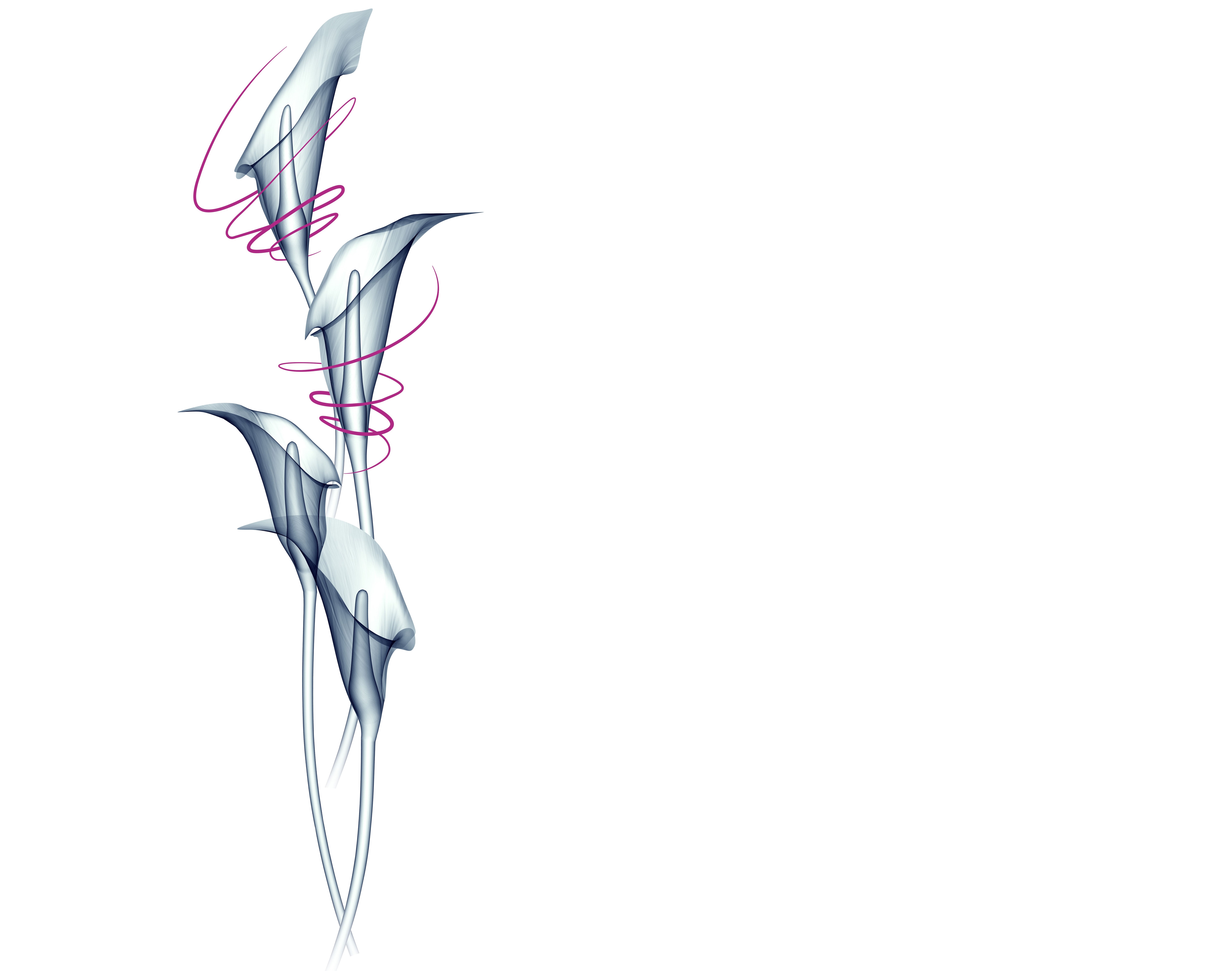 Agap’ Performance 2 sur 4