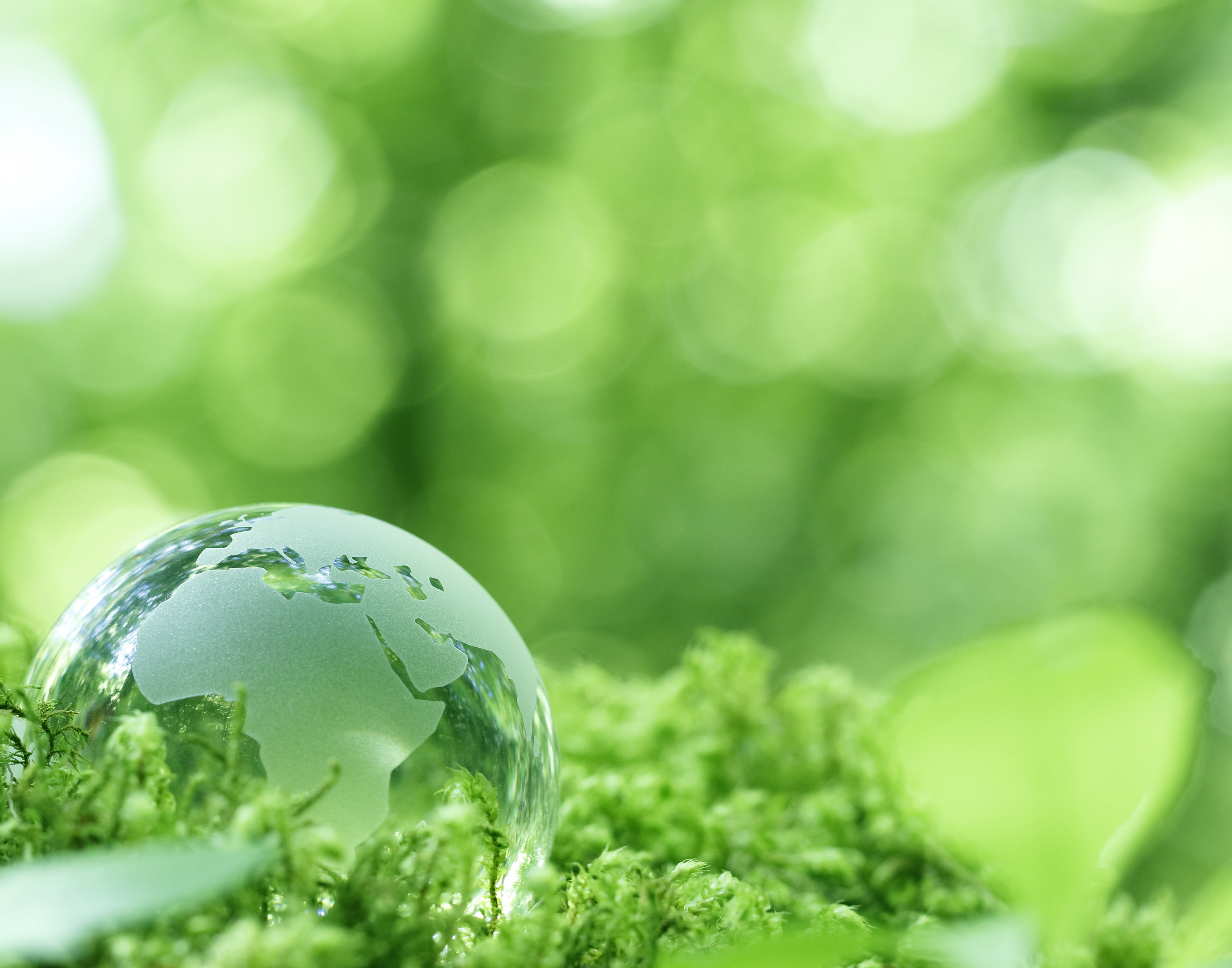 Objectif Rendement Mémoire Décembre 2019