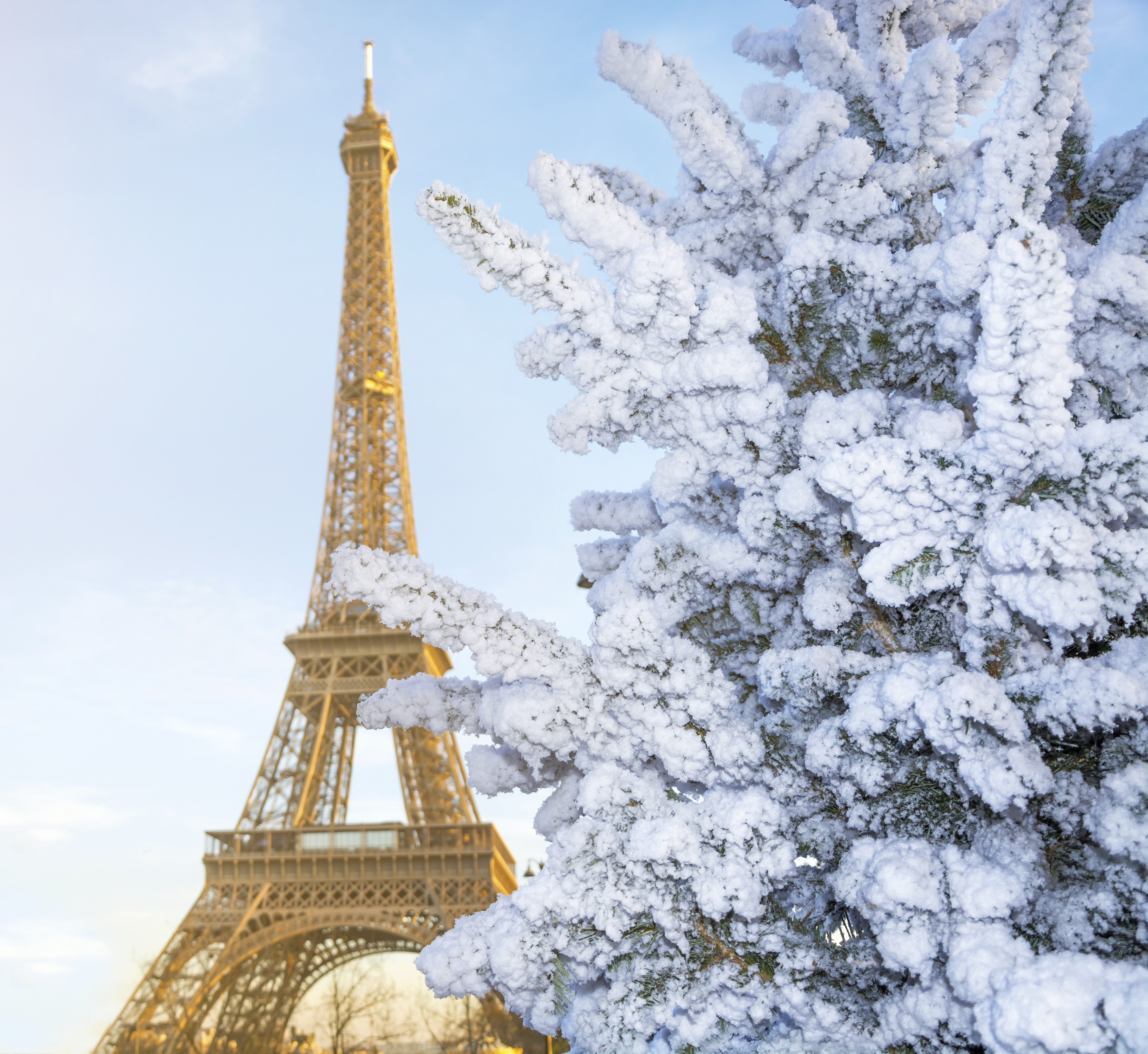 Hexagone Quotidien Décembre 2019