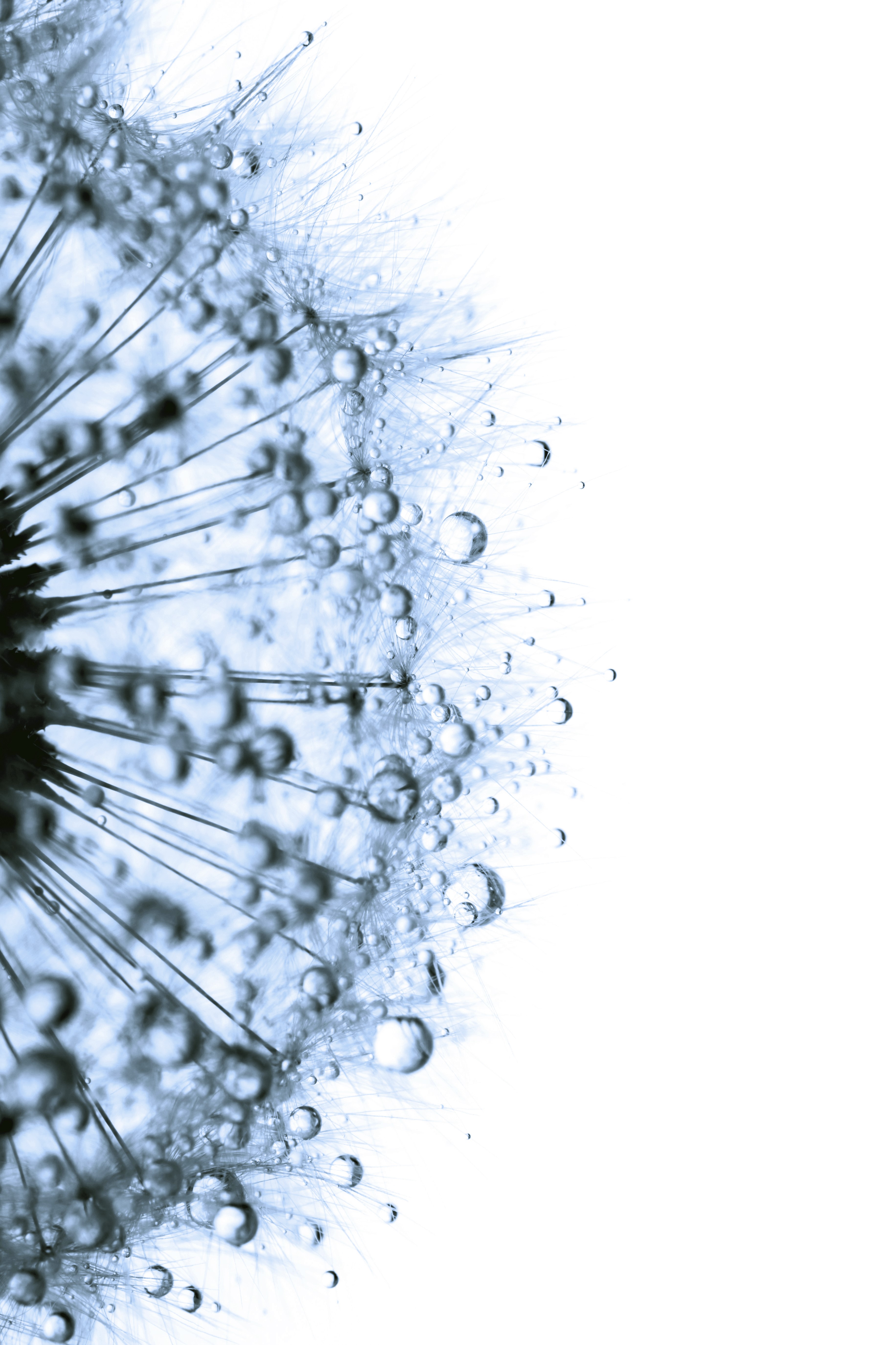 Opportunité Mars 2020