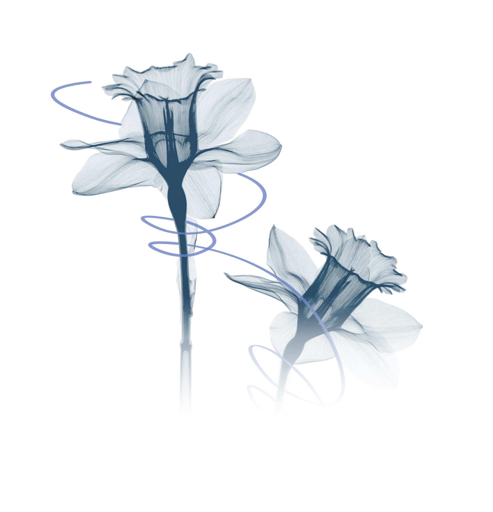 Agap’ Millesima 2026