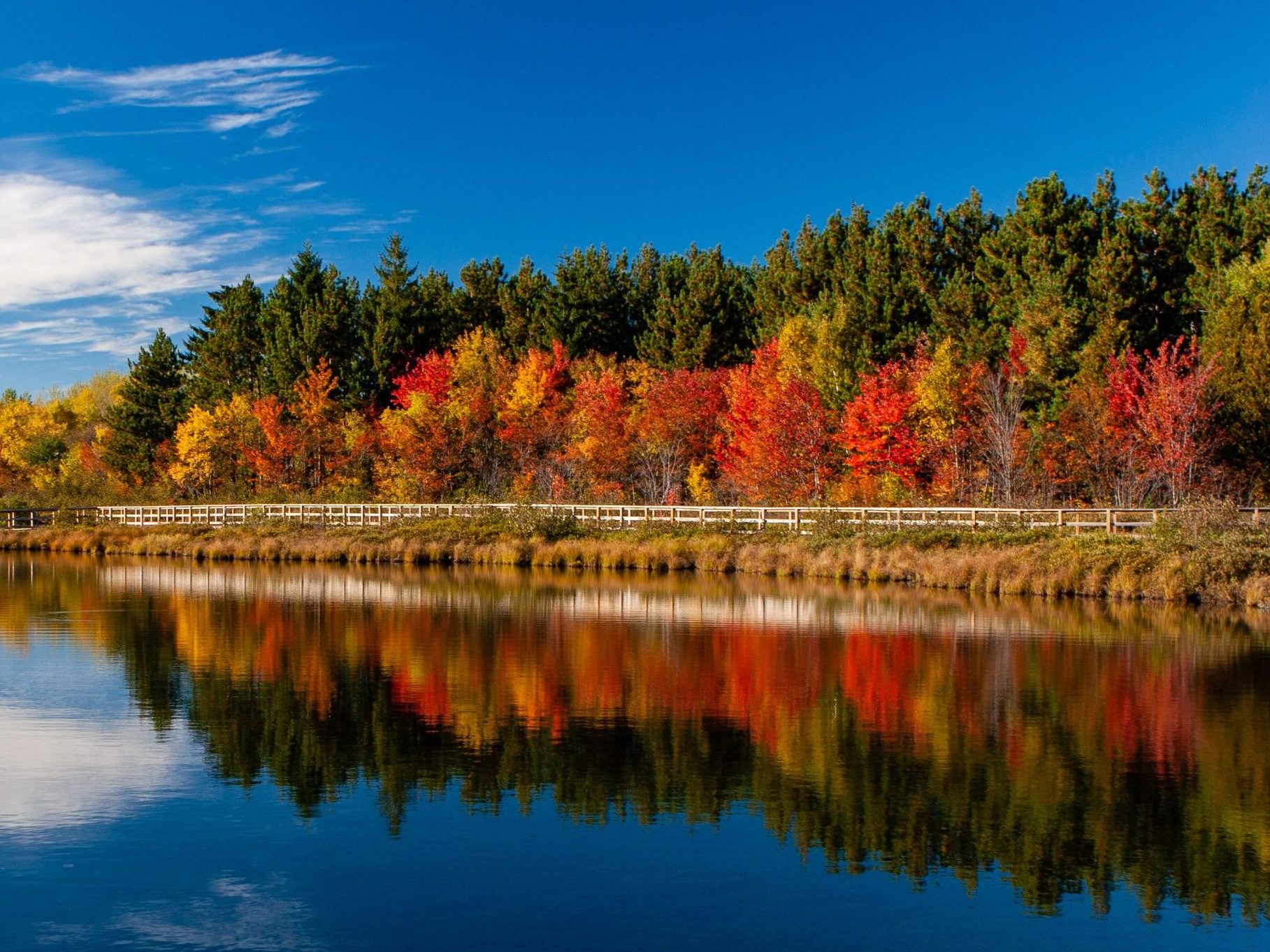 Fréquence Coupon Renault Janvier 2021