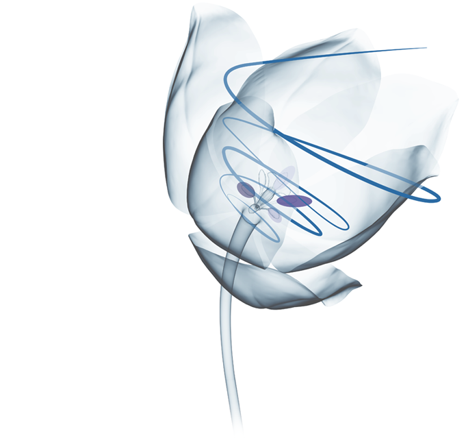 Agap’Flash Décembre 2020