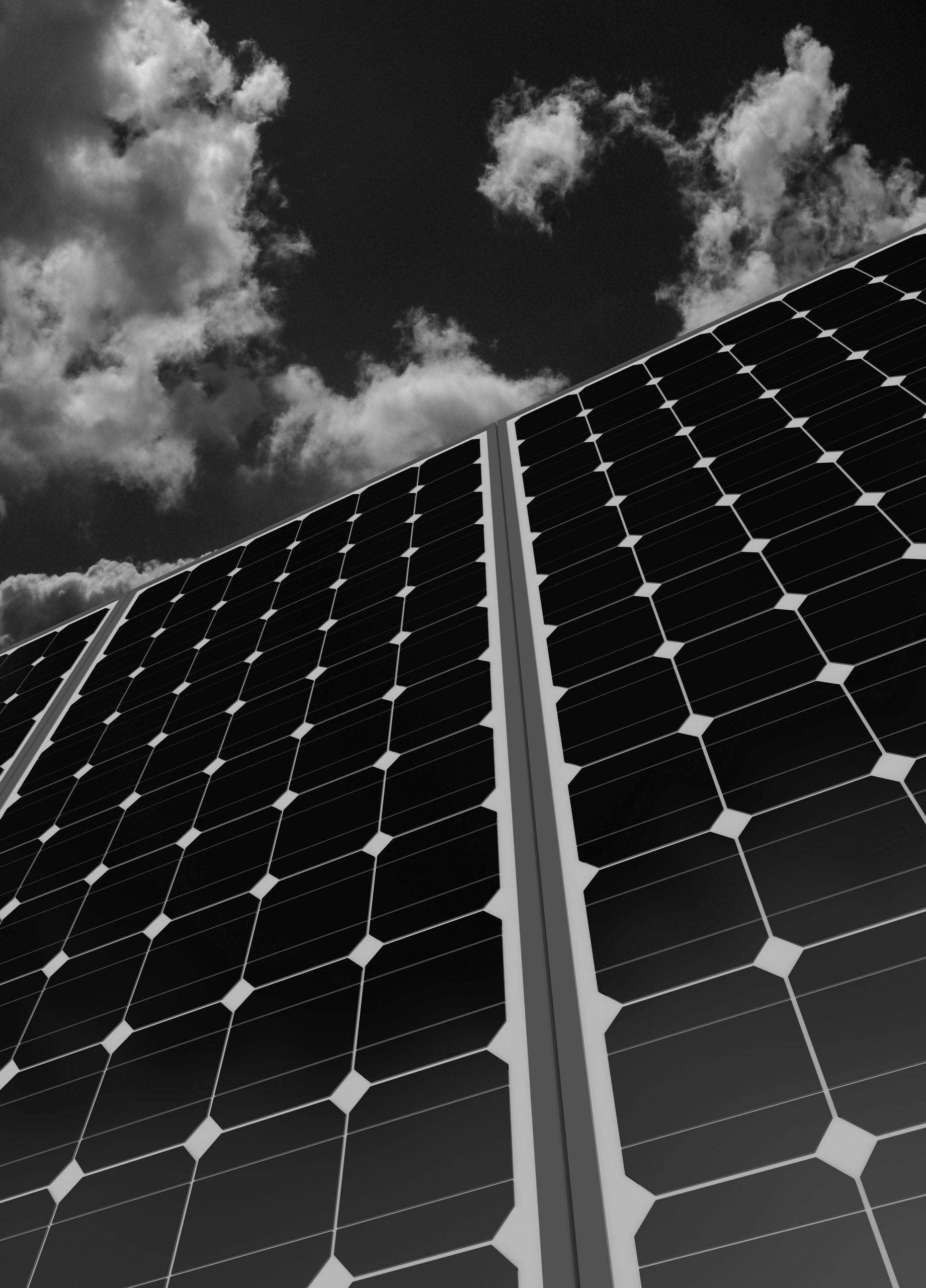 Opportunité Février 2021