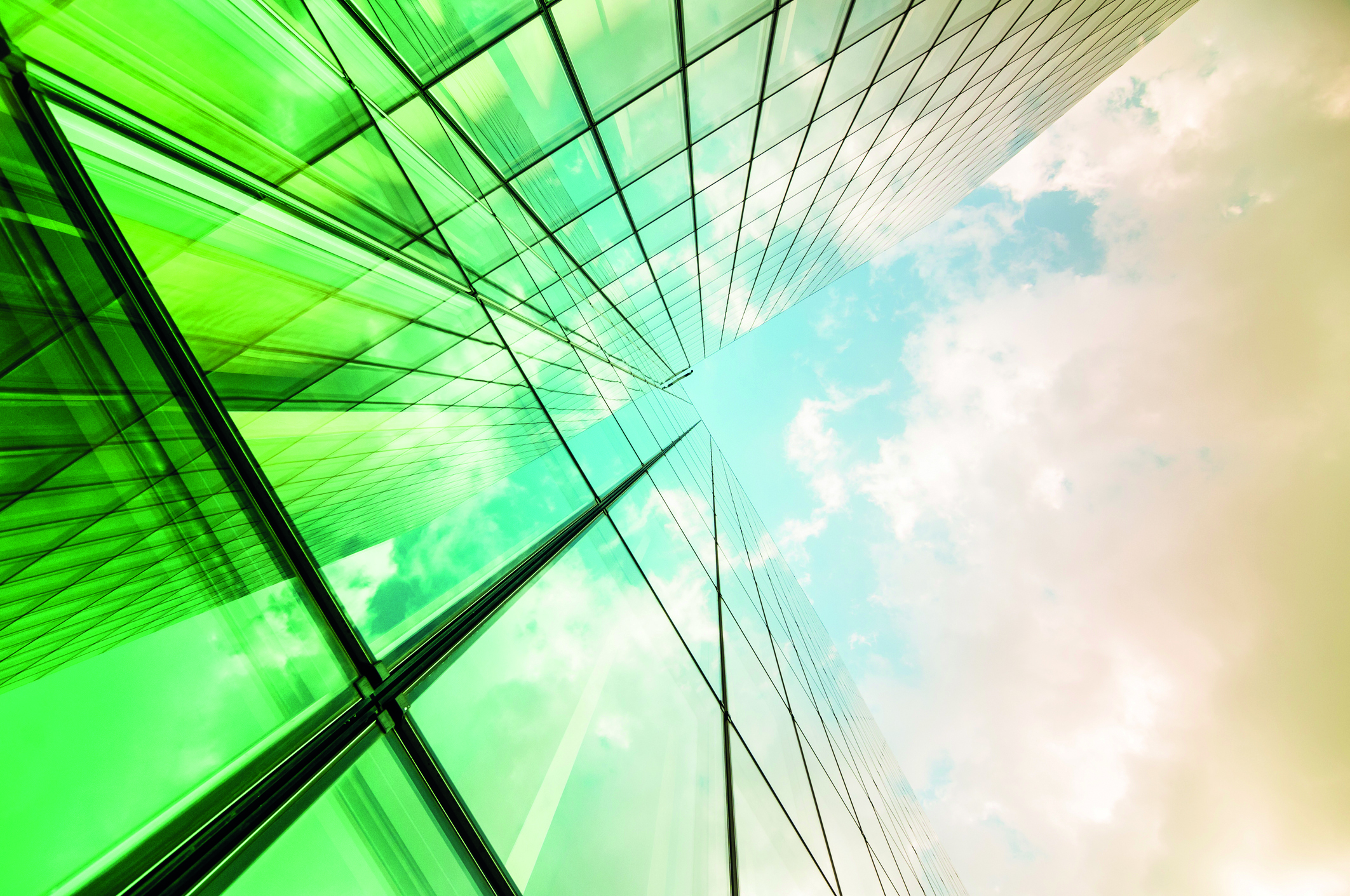 Milleis Premium Elégance