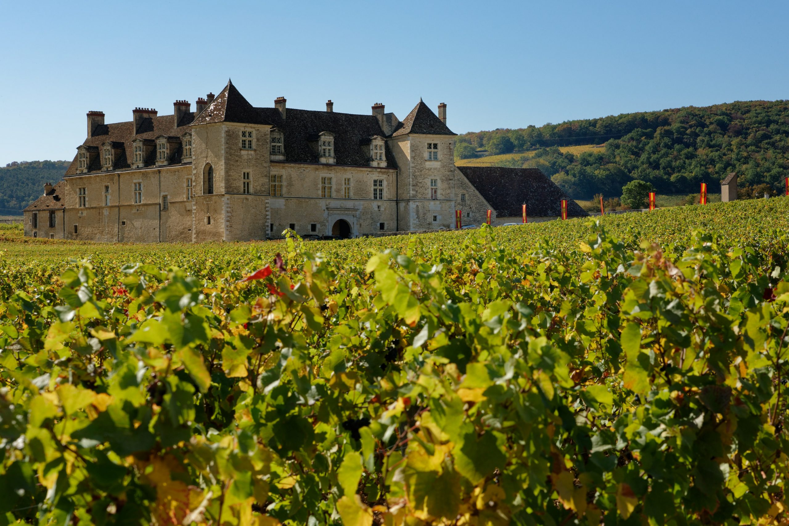 C&S Premium Action Pernod Ricard