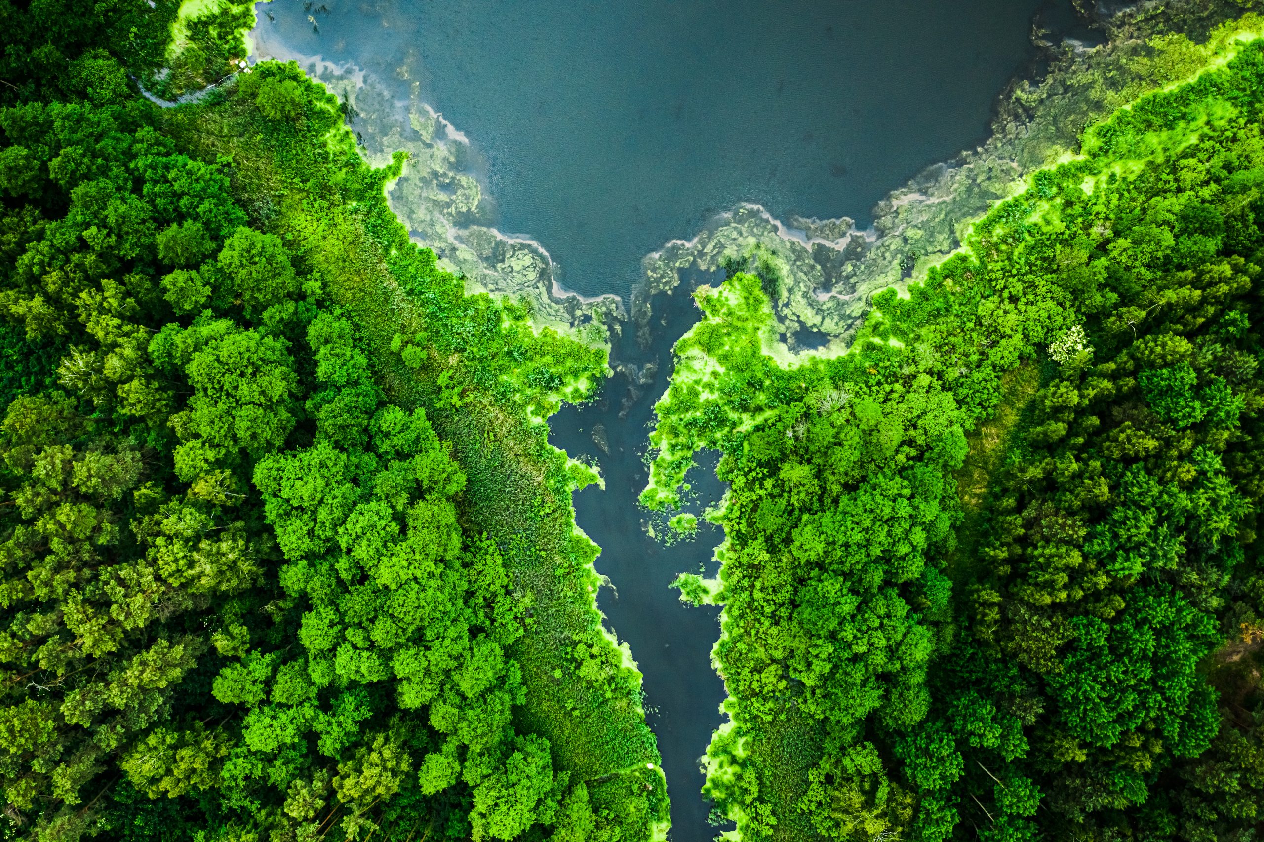 Green-Got Odyssey Mai 2025