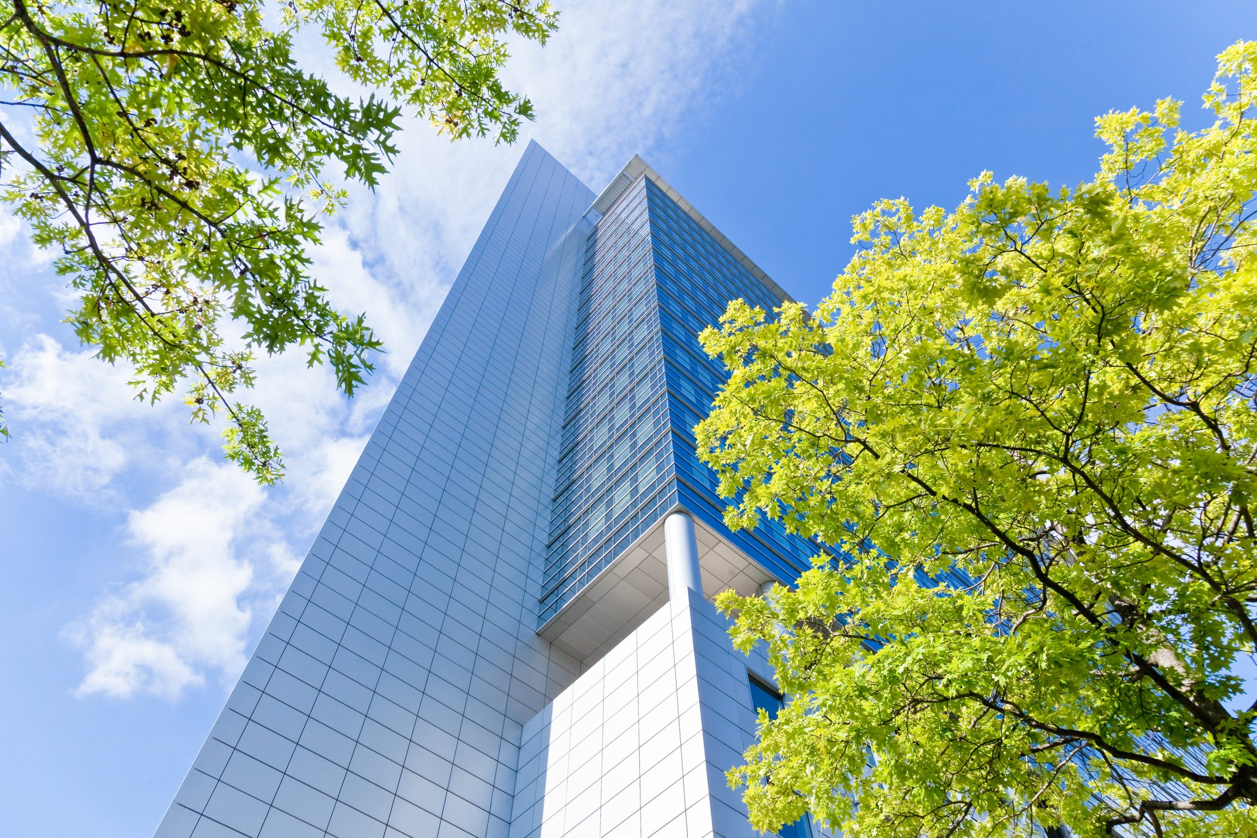 Objectif Trimestriel Dégressif BNP Paribas Décembre 2024