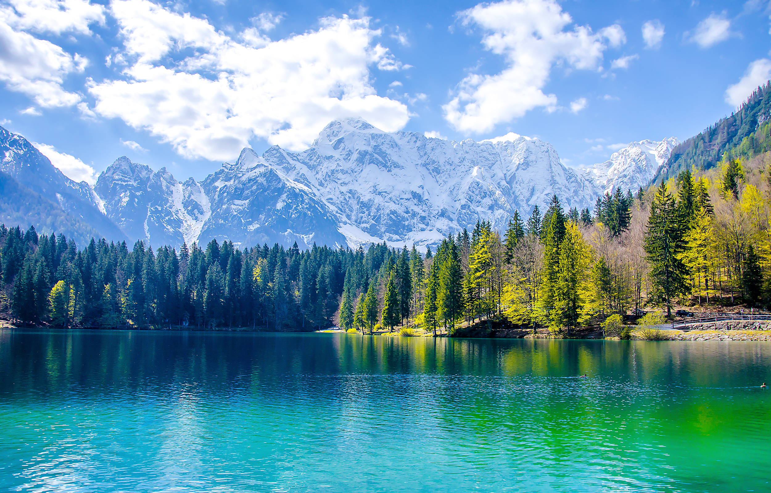 Exceltis Rendement octobre 2024